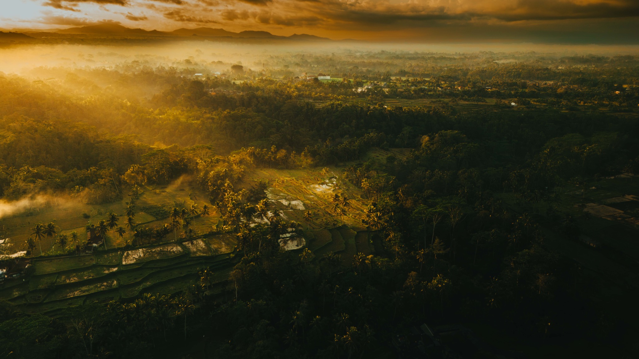 Paisagem de campos ao nascer do sol